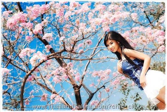 Thailand Talent - MC, Pretty, Singers, Dancers, Promotion Girls, Modeling, Recruitment Agency For The Entertainment Industry Bangkok - http://www.thailandtalent.com?chic_ch